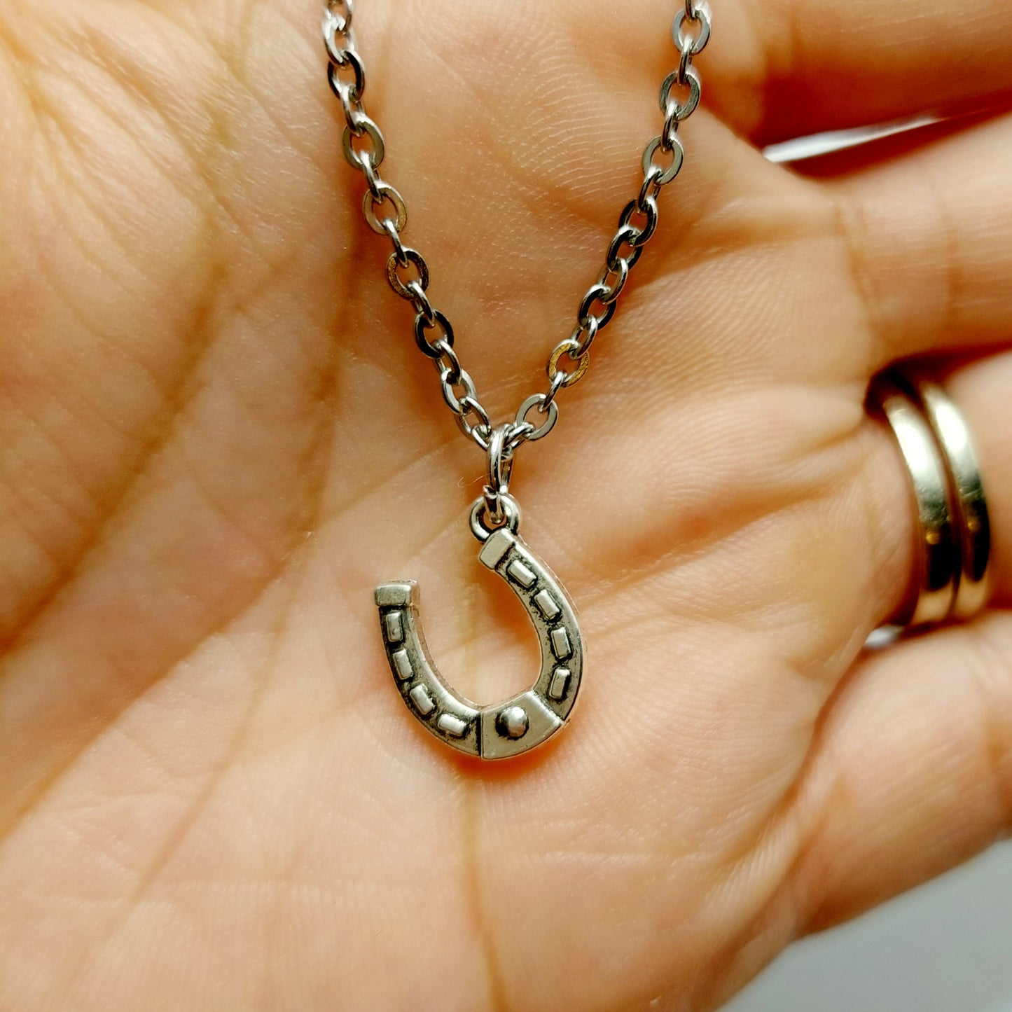 Horseshoe Charm Necklace